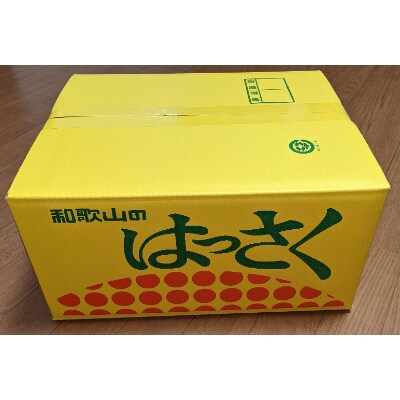 【栽培期間中出来るだけ農薬を減らした】由良八朔 10kg(Mから2Lサイズまで ※サイズ選択不可)
