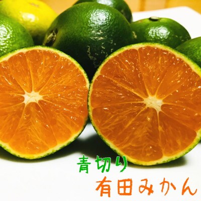 【先行受付 2022年9~10月お届け】厳選!濃厚青切り有田みかん 約8kg【サイズ混合】