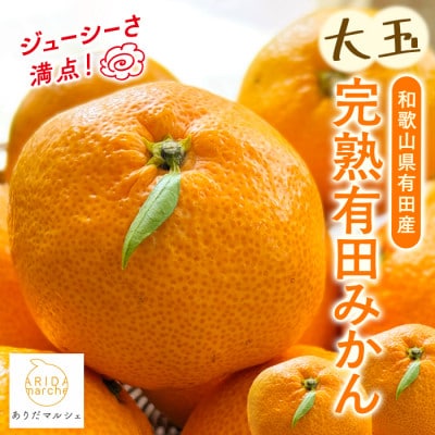 果汁迫力満点! 大粒 有田みかん 　10kg