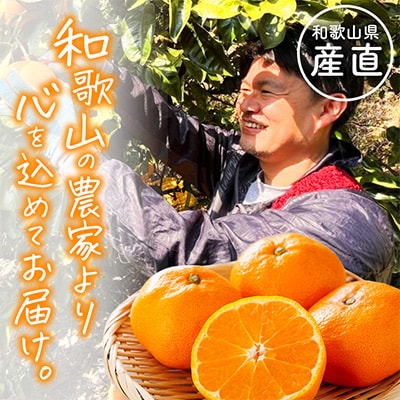 【発送月固定定期便】わかやま旬のくだもの【S】全6回