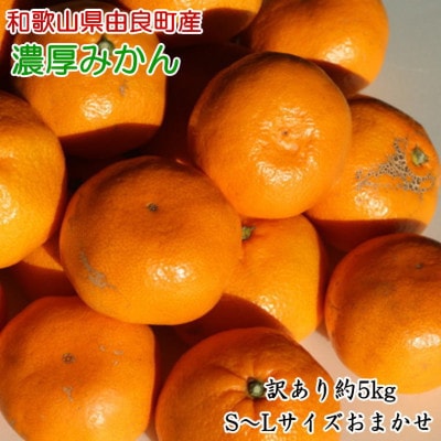 【訳あり・ご家庭用】和歌山由良町産のみかん約5kg(由良町)
