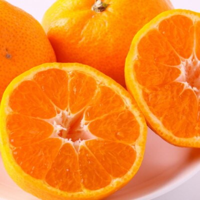 【訳あり・ご家庭用】和歌山由良町産のみかん約5kg(由良町)