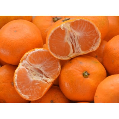 温州みかん(サイズ混合)10キロ