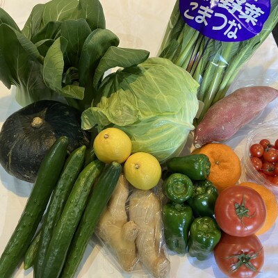 季節の新鮮野菜・果物セット(8種以上)