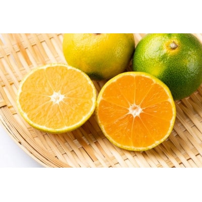 【訳あり】由良早生みかん(サイズ混合)10キロ