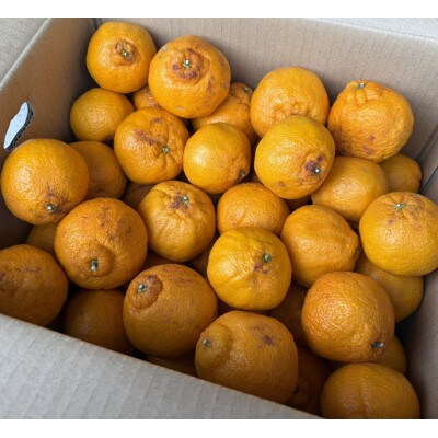 【訳あり】不知火(サイズ混合)5キロ