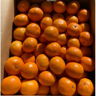 温州みかん(サイズ混合)3キロ