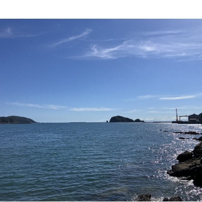 【2026年】紀州由良港の活け伊勢海老(約300～400g)