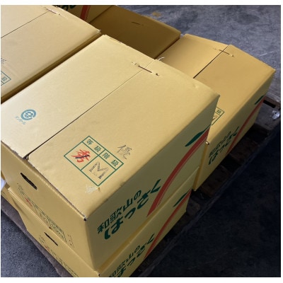 【訳あり】はっさく(サイズ混合)10キロ