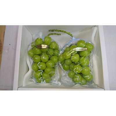 大粒のシャインマスカット1房600g以上　2房入り1.2Kg～1.5Kg入　生産農家直送　化粧箱入り