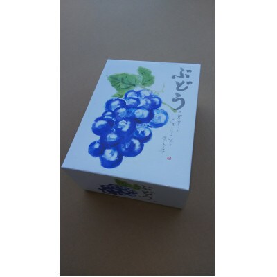大粒のシャインマスカット1房600g以上　2房入り1.2Kg～1.5Kg入　生産農家直送　化粧箱入り