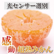 ＜2024年11月より発送＞家庭用 超熟有田みかん5kg+150g(傷み補償分)【わけあり・訳あり】