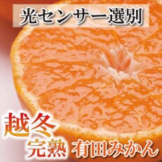 ＜2025年1月より発送＞家庭用 越冬完熟みかん5kg+150g(傷み補償分)【わけあり・訳あり】