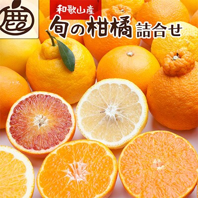 ＜1月より発送＞厳選旬の柑橘詰合せ5kg+150g(傷み補償分)【有田の春みかん】【光センサー選別】