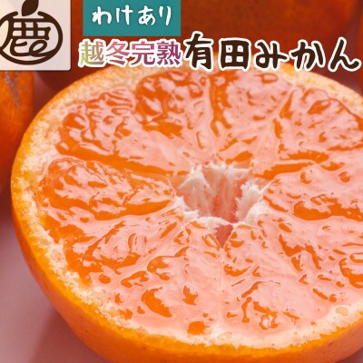 <1月より順次発送>家庭用 越冬完熟みかん2.5kg+75g(傷み補償分)【訳あり】【光センサー】