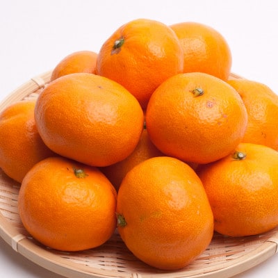 <1月より順次発送>厳選 蔵出みかん3kg+90g(傷み補償分)【光センサー選果】