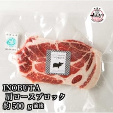 高級食材!F1イノブタ　塊肉(肩ロース　or　ロース)500g | ふるさと納税のお礼品