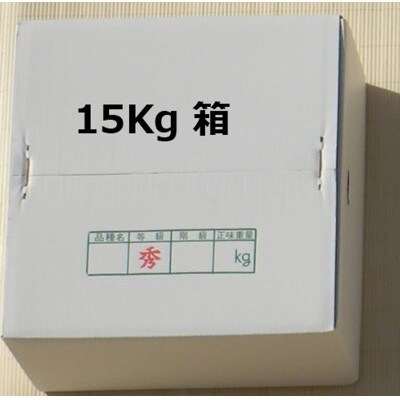アンポ干し柿用平核無(ヒラタネナシ)生渋柿AP約14.5～15kg 約50-90果実入り箱