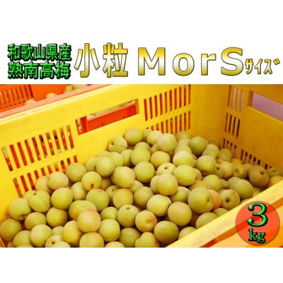 【梅干・梅酒用等】紀州和歌山の熟南高梅(約3kg+3%)【6月下旬～7月中旬順次発送】