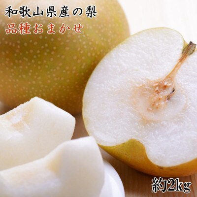 和歌山県産の梨約2kg(品種おまかせ)【由良町】