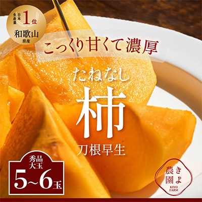 先行受付　柿(種無し)　赤秀品大玉　6個入　約1.8kg