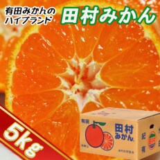 高級みかん秀品"田村みかん"約5kg【2025年1月より順次発送】