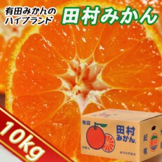 高級みかん秀品"田村みかん"約10kg【2025年1月より順次発送】