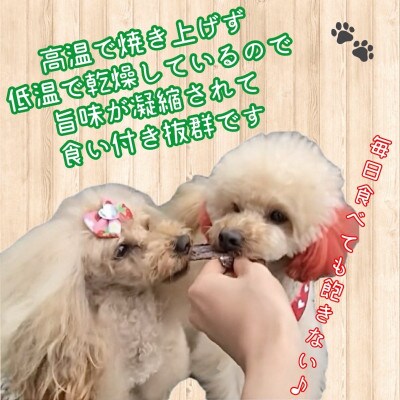 犬猫用天然無添加鹿肉ジャーキー50g×3袋