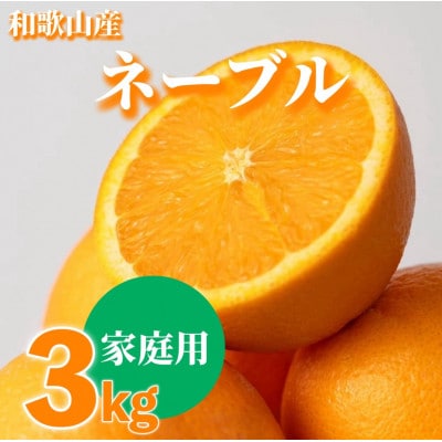 【2027年1月上旬より順次発送】和歌山県産　ネーブル　3kg家庭用(サイズ混合)【まごころ手選別】