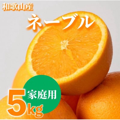 【2027年1月上旬より順次発送】和歌山県産　ネーブル　5kg家庭用(サイズ混合)【まごころ手選別】
