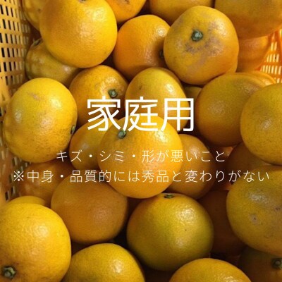 【先行受付2027年1月より発送】　和歌山産　八朔(はっさく)　約4kg　家庭用【まごころ手選別】