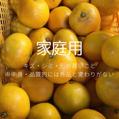 【先行受付2027年1月より発送】　和歌山産　八朔(はっさく)　約6kg 　家庭用【まごころ手選別】