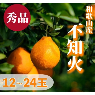 【2027年2月上旬より順次発送】和歌山産　不知火(デコポン)約5kg　秀品　(12玉～24玉)
