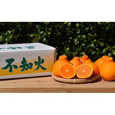 【2027年2月上旬順次発送】和歌山産　不知火　(デコポン)　約4kg　秀品【まごころ手選別】