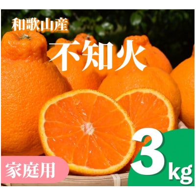 【2027年2月上旬順次発送】和歌山産　不知火(デコポン)3kg　家庭用　【まごころ手選別】