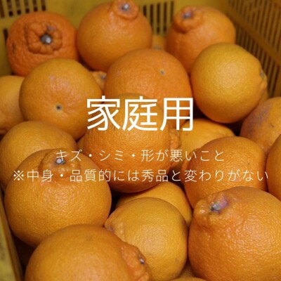 【2027年2月上旬順次発送】和歌山産　不知火(デコポン)4kg　家庭用　【まごころ手選別】
