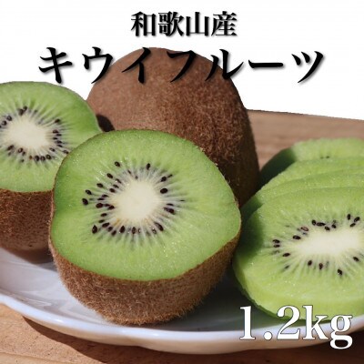 【2027年1月下旬から順次発送】和歌山産　キウイフルーツ　約1.2kg　秀品