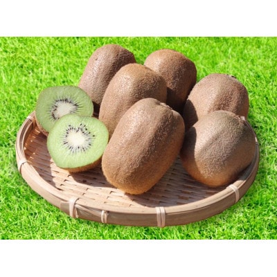 【2027年1月下旬から順次発送】和歌山産　キウイフルーツ　約1.2kg　秀品