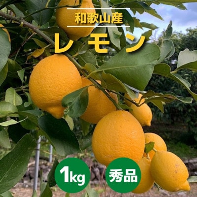 【2027年1月中旬より順次発送】和歌山県産　レモン　約1kg　サイズ混合