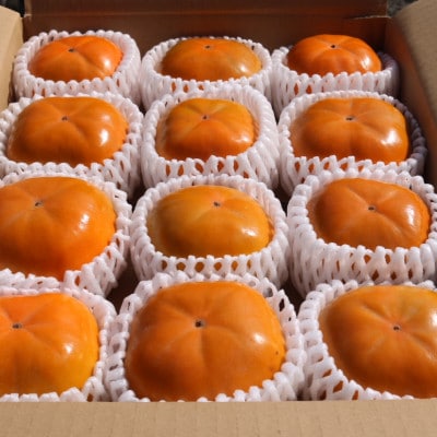 和歌山県産　柿　2.5kg