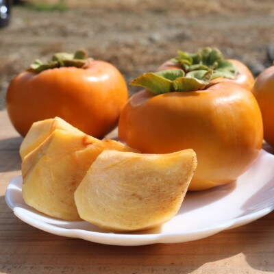 和歌山県産　柿　5kg
