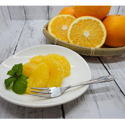 木成りはっさく10kg(和歌山県由良町)