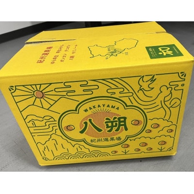 木成りはっさく10kg(和歌山県由良町)