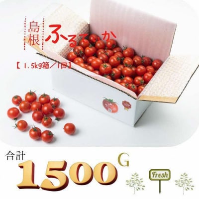 島根県産　海辺のトマトバラ　1.5㎏【11～3月限定】