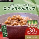 【毎月定期便】グリーンパール納豆 こつぶちゃん3カップ 10袋全3回