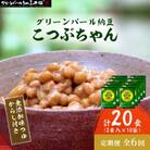 【毎月定期便】【全国納豆鑑評会受賞】グリーンパール納豆 こつぶちゃん 10袋全6回