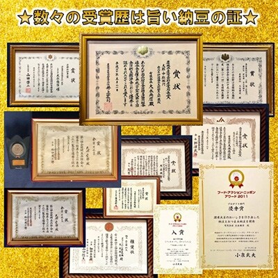 2023年3月発送開始『定期便』【全国納豆鑑評会受賞】グリーンパール納豆こつぶちゃん10袋全6回