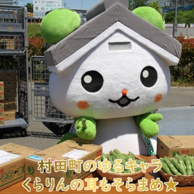 【先行受付2026年】そらまめ 約4kg Lサイズ 宮城県村田町産