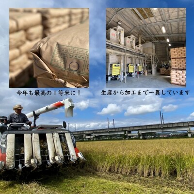 令和4年宮城県産 つや姫 玄米10kg(5kg×2袋)【村田町産】