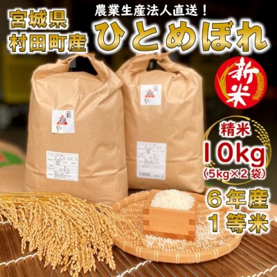 新米】令和6年宮城県産 ひとめぼれ 精米10kg(5kg×2袋)【村田町産  